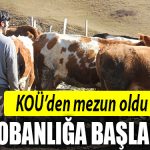kou mezun