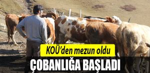 kou mezun