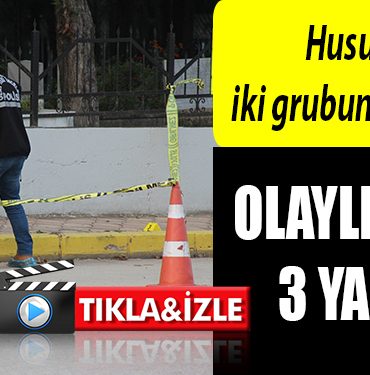 olayy