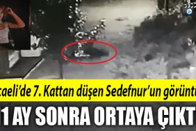 sedefnur 1
