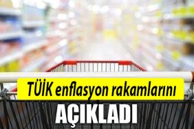 tuik enflasyon