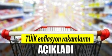 tuik enflasyon