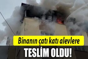 KOCAELI YANGIN 2