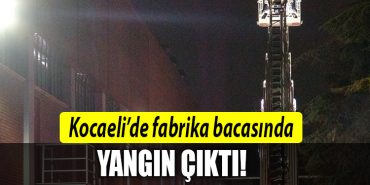 KOCAELI YANGIN 3