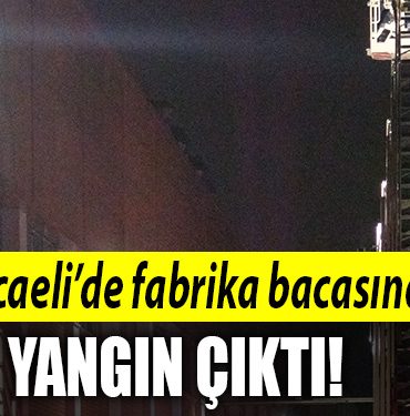 KOCAELI YANGIN 3