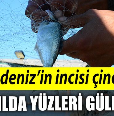 Kocaeli de Karadenizin incisi cinekop yeni yilin ilk ayinda yuzleri guldurdu