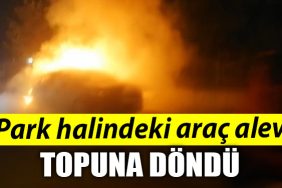 Kocaeli de Park halindeki arac alev topuna dondu