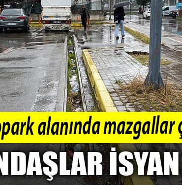 Kocaeli de acik otopark alaninda mazgallar calindi vatandaslar isyan etti