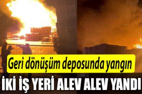 Kocaeli de geri donusum deposu yangini palet imalathanesine sicradi Iki is yeri alev alev yandi