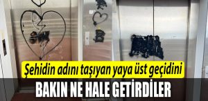Kocaeli de sehidin adini tasiyan yaya ust gecidini bakin ne hale getirdiler