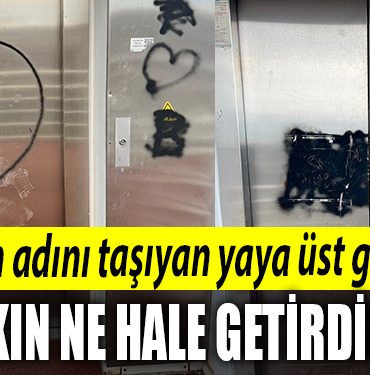 Kocaeli de sehidin adini tasiyan yaya ust gecidini bakin ne hale getirdiler