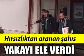 SAHIS