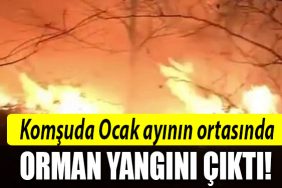 SAKARYA ORMAN YANGINI