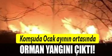 SAKARYA ORMAN YANGINI