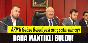 akp gebze