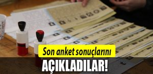 anket 1