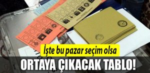 anket 2023