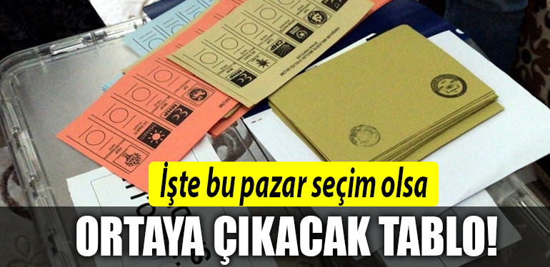 anket 2023