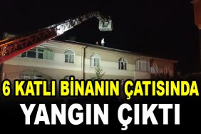 bina yangin