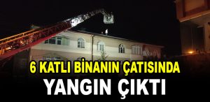 bina yangin