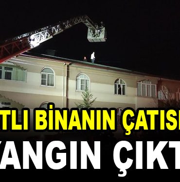 bina yangin