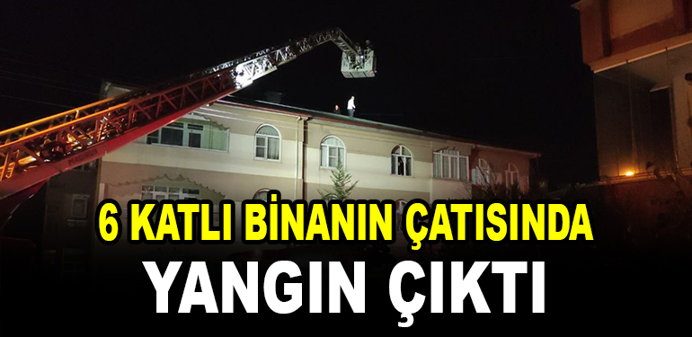 bina yangin