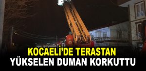 duman