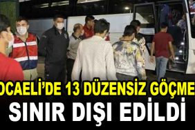gocmen sinir disi