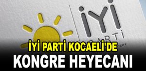 iyi parti kongre