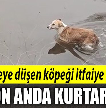 izmit dere
