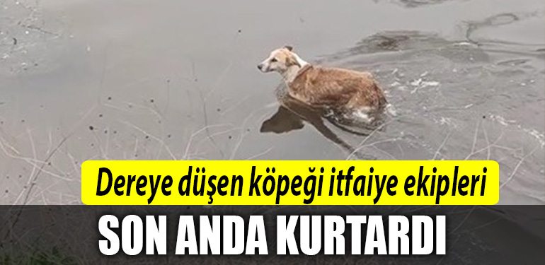 izmit dere