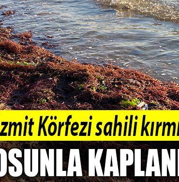 izmit sahil