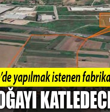 kartepe haddehane