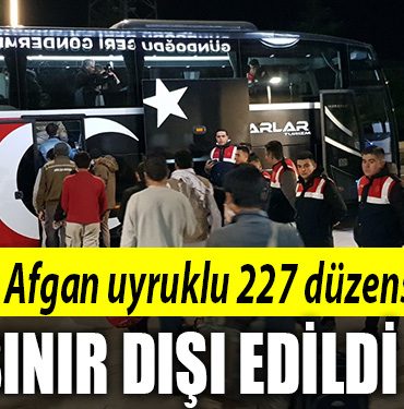 kocaeli afgan