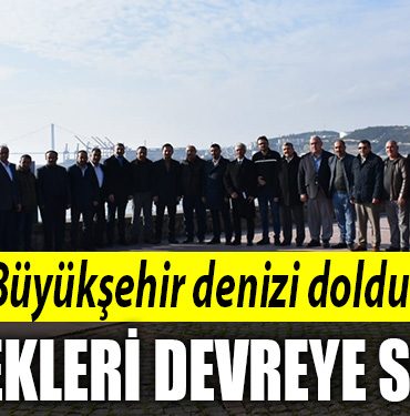 kocaeli buyuksehir deniz dolgusu