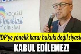 kocaeli demokrasi girisimi
