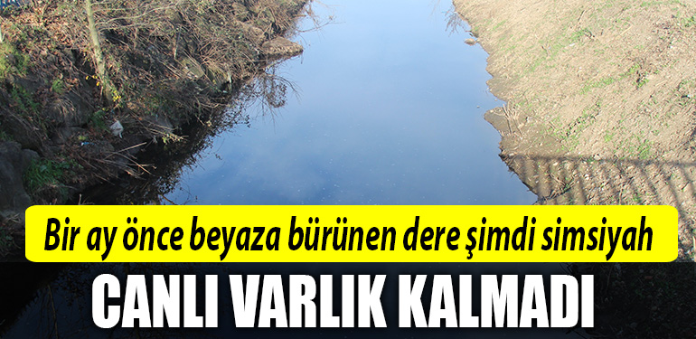 kocaeli dere