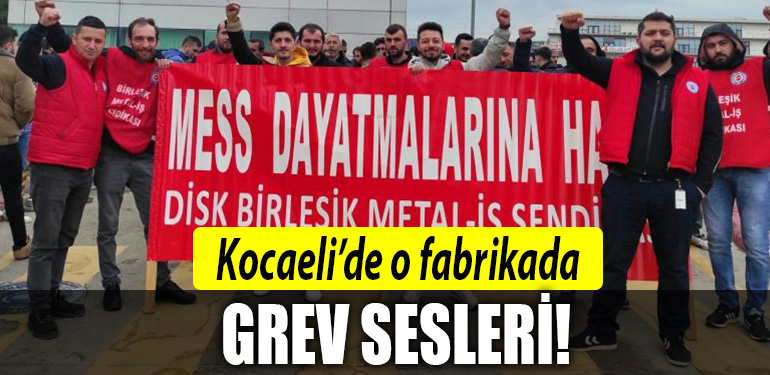 kocaeli fabrika grev
