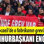 kocaeli grev 1
