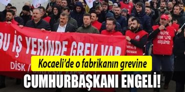 kocaeli grev 1