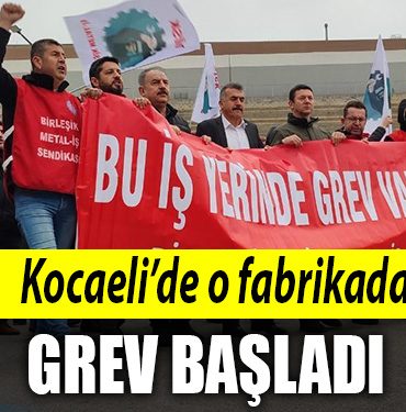 kocaeli grev