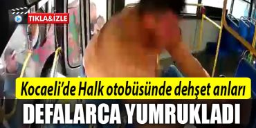 kocaeli halk otobusu