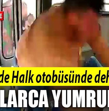 kocaeli halk otobusu