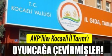 kocaeli il tarim akp