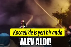 kocaeli is yeri alev