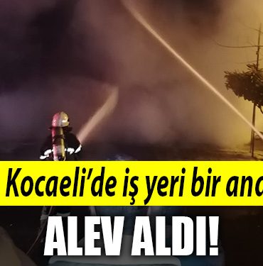 kocaeli is yeri alev