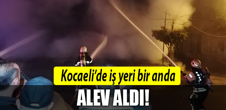 kocaeli is yeri alev