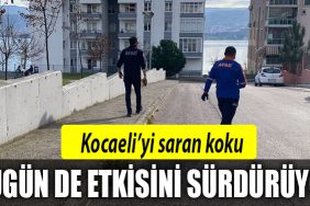 kocaeli koku