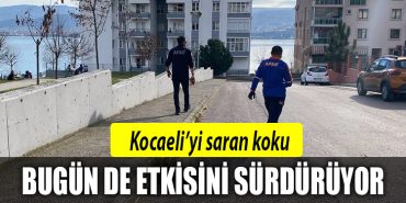 kocaeli koku