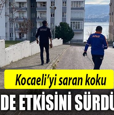 kocaeli koku